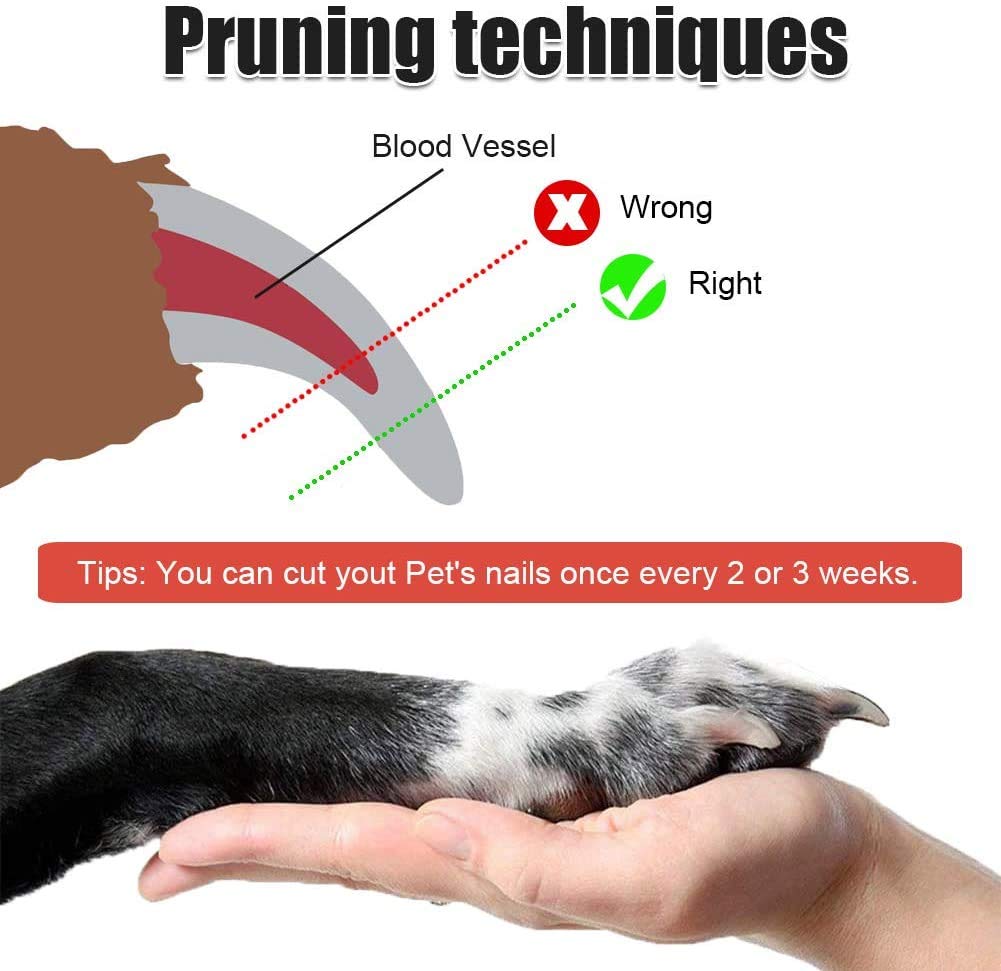 PetVogue Dog Nail Cutter Clipper and filer,Claw & Nails Clippers Grinder Grooming Trimmer for Small, Medium, Large dogs and cats, Red